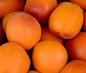 Apricots