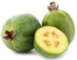 Feijoa