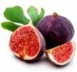 Fig