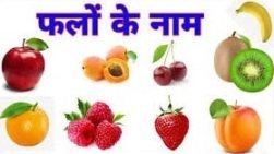 Fruits Name in Hindi and English