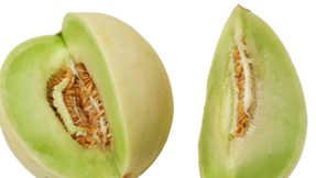 Honeydew Melon