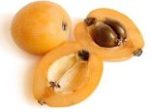 Loquat