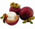 Mangosteen