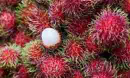 Rambutan