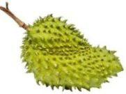 Soursop