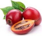 Tamarillo