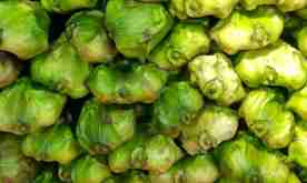 Water Chestnut